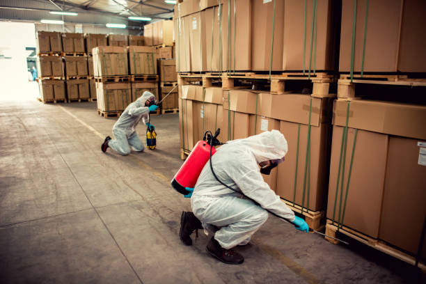 Trusted Newaygo, MI Pest Control Experts
