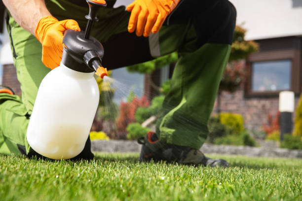 Best Bird Control  in Newaygo, MI