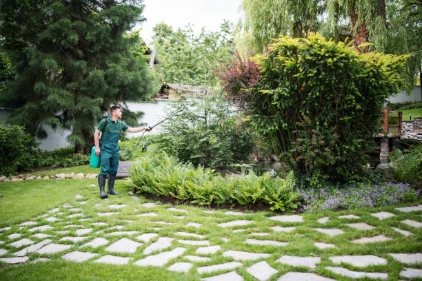 Best Exterminator Services  in Newaygo, MI