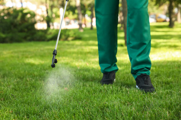 Best Emergency Pest Control  in Newaygo, MI