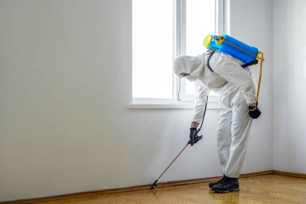 Best Local Pest Control Services  in Newaygo, MI