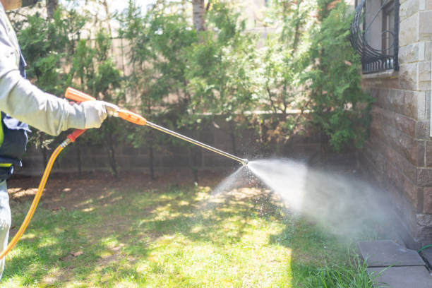 Best Pest Control Near Me  in Newaygo, MI