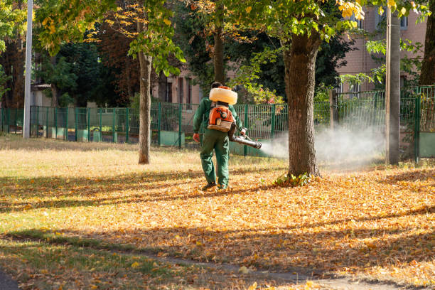 Best Best Pest Control Companies  in Newaygo, MI
