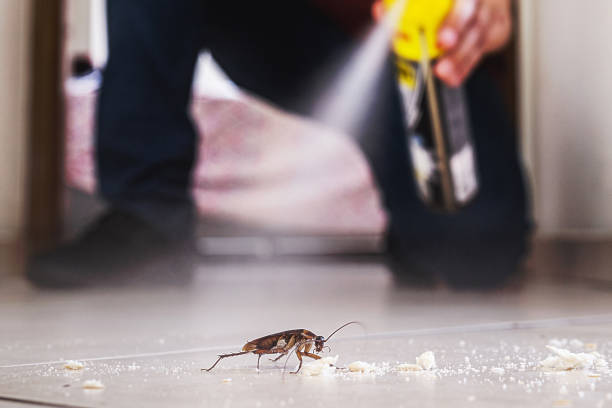 Best Affordable Pest Control Services  in Newaygo, MI