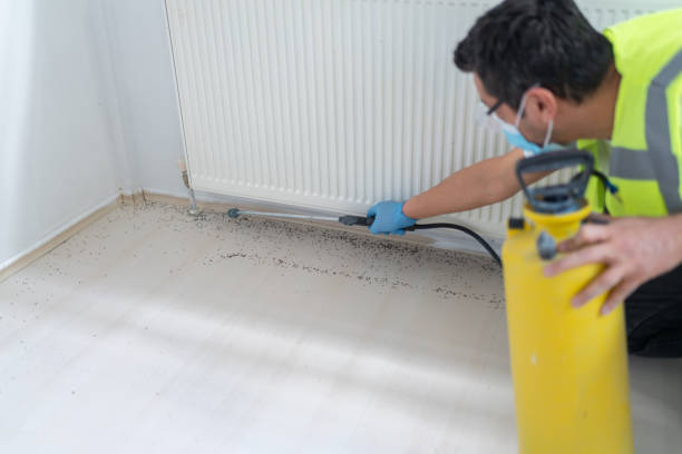 Best Wasp Removal Services  in Newaygo, MI